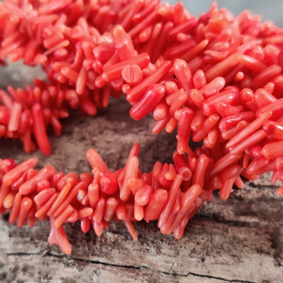 Vintage Red Branch Coral Necklace and Earrings Set - Picture 6 of 16